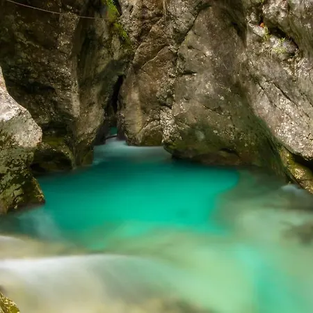 Kamnik-apartment With A Large Terrace דירה *