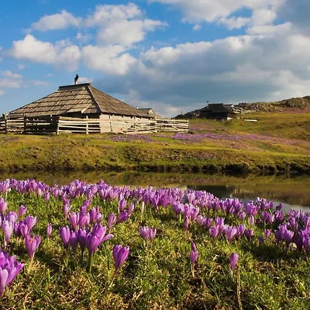 Apartman Kamnik-apartment With A Large Terrace *