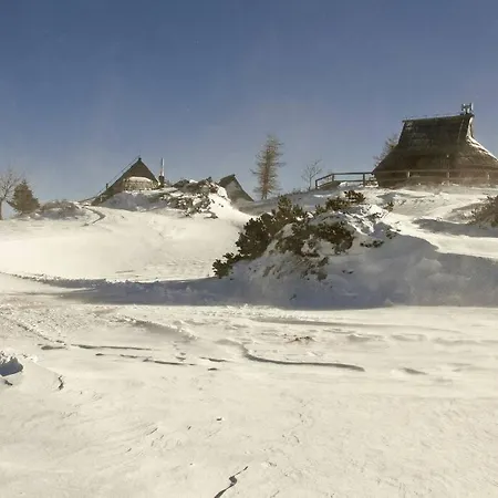 Kamnik-apartment With A Large Terrace