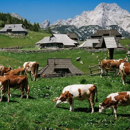 Kamnik-apartment With A Large Terrace Apartman