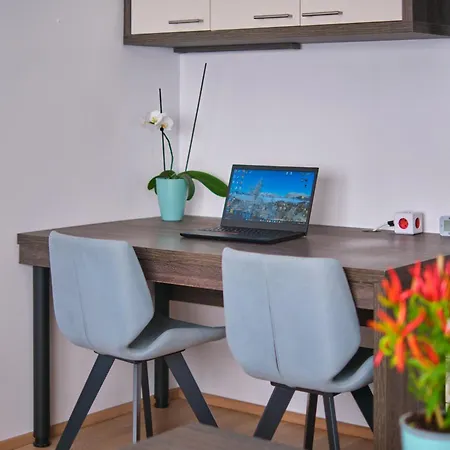 Kamnik-apartment With A Large Terrace *