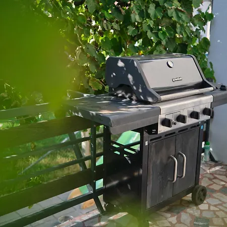 Apartment Kamnik-apartment With A Large Terrace *