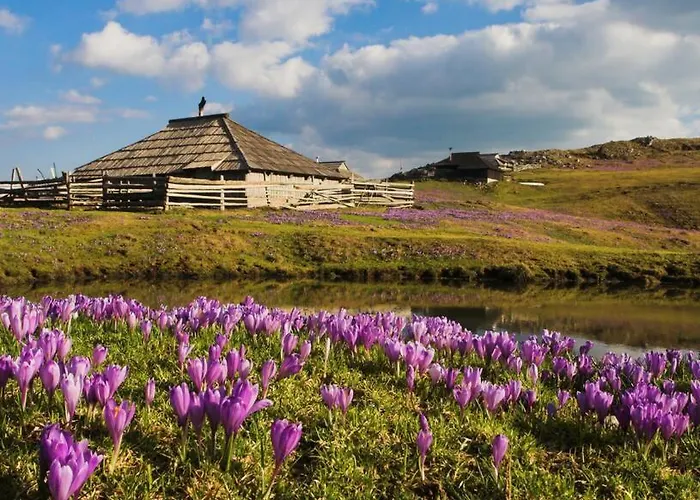 Apartment Kamnik-apartment With A Large Terrace *