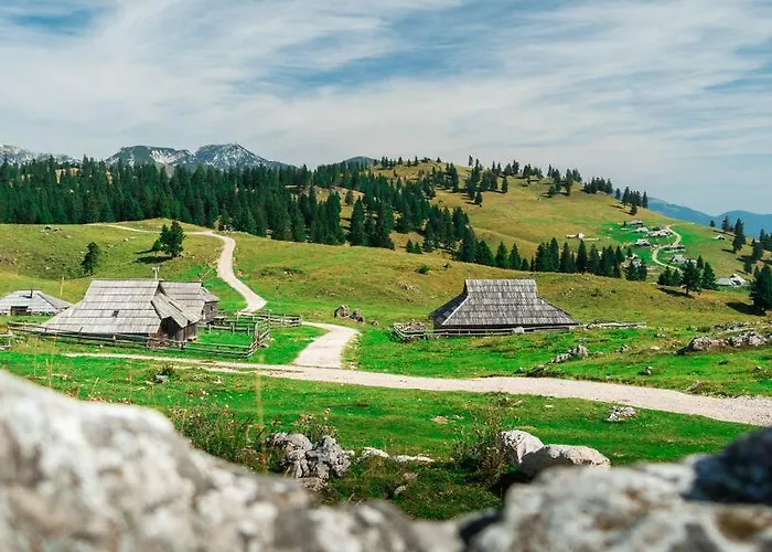 Kamnik-apartment With A Large Terrace *
