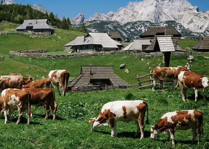 Kamnik-apartment With A Large Terrace Appartement