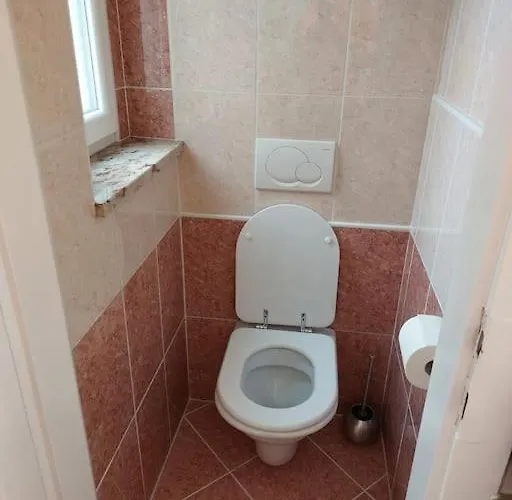 Kamnik-apartment With A Large Terrace Apartment *