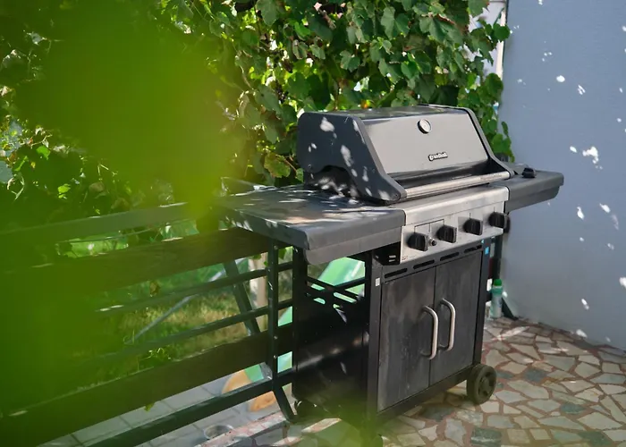 Appartement Kamnik-apartment With A Large Terrace *